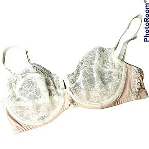 Gilligan & O'Malley Intimates Embellished Lace Fairy Feminine Underwire Bra 36D